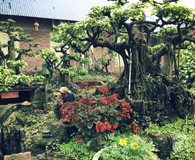 thiet-ke-san-vuon-san-thuong-12