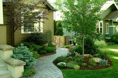 tieu-canh-san-vuon-phoi-mau-3