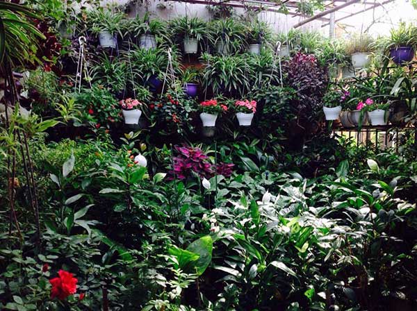 vuon-san-thuong-dep-1