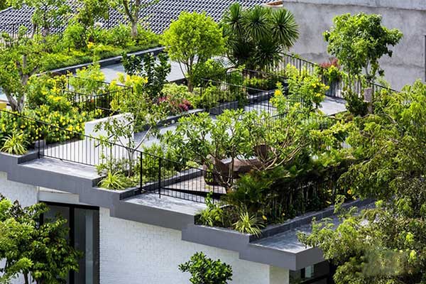 vuon-san-thuong-dep-8