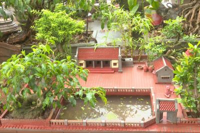 Tiểu cảnh Mini phong cảnh làng quê