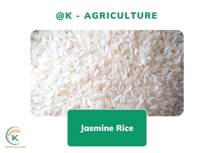 long-grain-rice-types-2