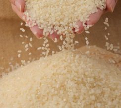 Wholesale rice is a successful agriculture business