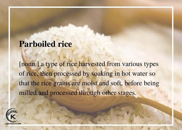where-to-buy-parboiled-rice-1