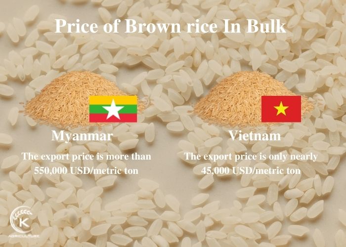 organic-brown-rice-in-bulk-3