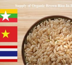 Organic brown rice in bulk: Things every wholesaler should know