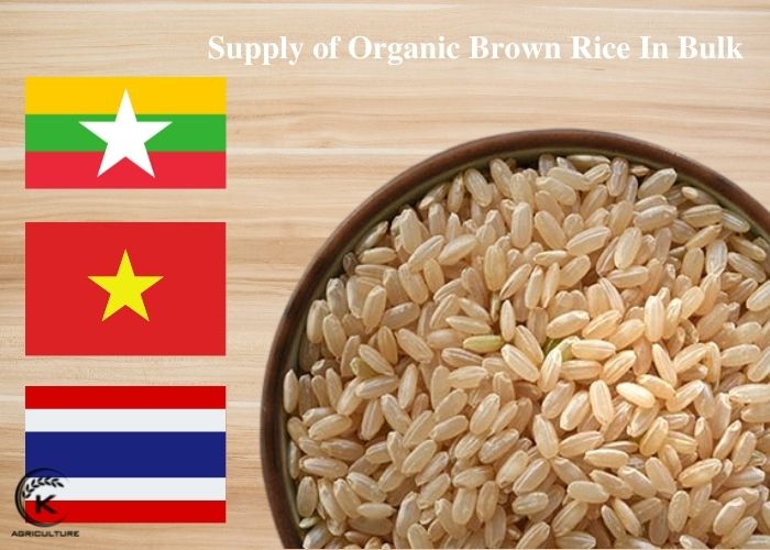organic-brown-rice-in-bulk-4