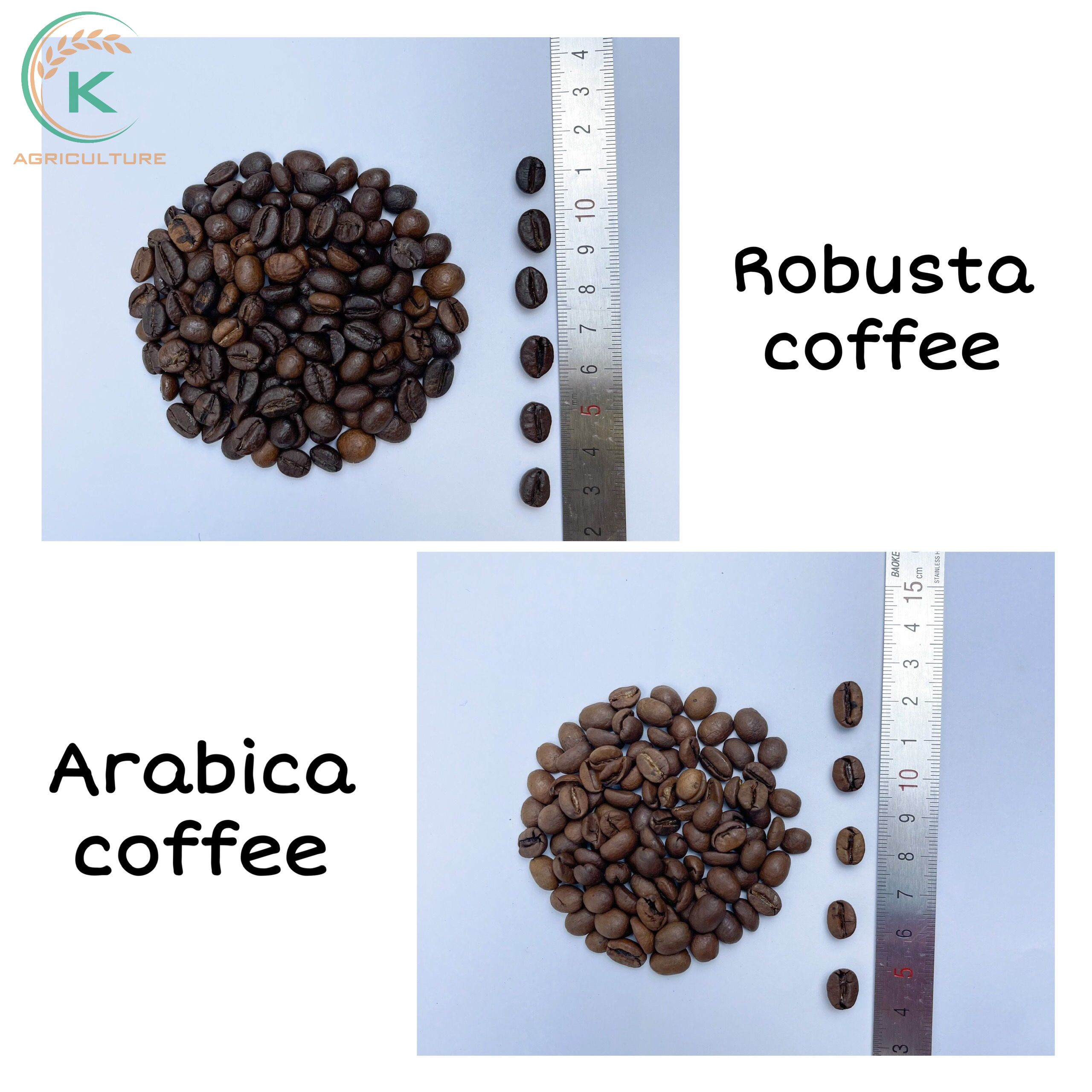 wholesale-coffee-beans-5