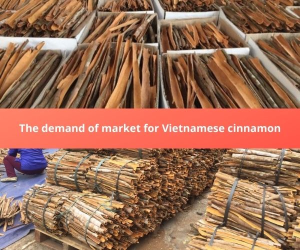vietnamese-cinnamon-the-item-brings-the-high-revenue-for-sellers-4