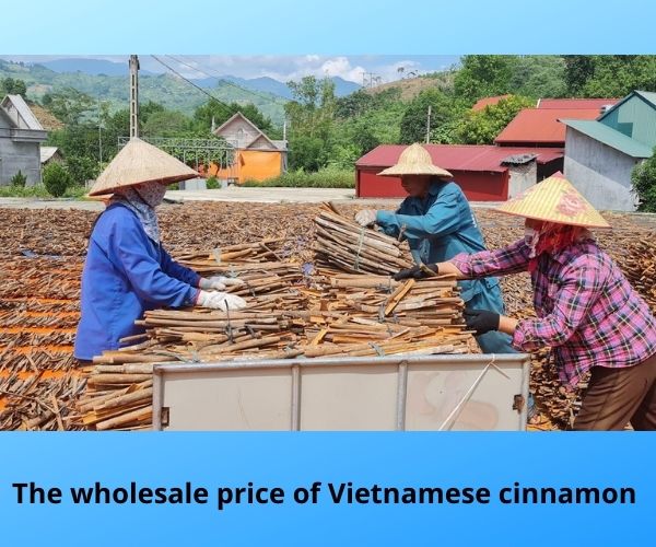 vietnamese-cinnamon-the-item-brings-the-high-revenue-for-sellers-2