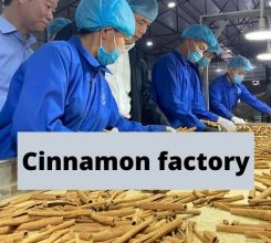 Important things about cinnamon factory would be revealed here