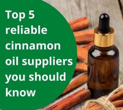 Top 5 reliable cinnamon oil suppliers you should know