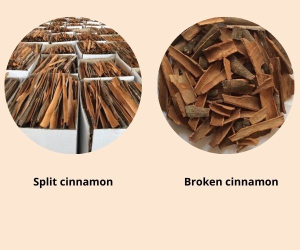 important-things-about-cinnamon-factory-would-be-revealed-here-5