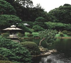 14 mẹo thiết kế, tạo điểm nhấn cho sân vườn Nhật Bản